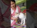 happy mother s day cat catlover catvideo kitten mother mothersday catvideos youtube