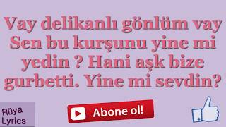 vay delikanli gonlum vay  ahmet safak  lyrics