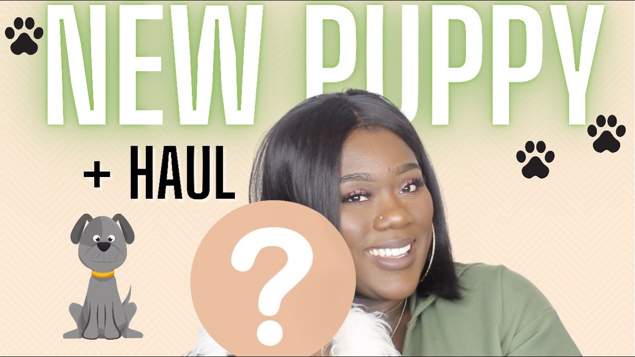 I Got A New Puppy Online How To Get A Puppy Cute Puppy Haul