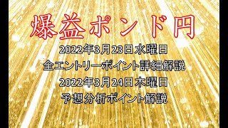 【勝億FX】ポンド円 2022年3月34,24日 水,木曜 予想分析ポイント解説と、学習用 全エントリーポイント詳細解説 GBPJPY 100％ 裁量 テクニカル 手法復習 練習動画