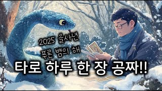 [1/22] 공짜 타로!! 한 장 간단 타로!! 하루에 한 번은 공짜!!