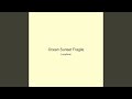 Ocean Sunset Fragile