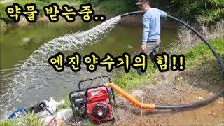 농기계 약칠때 엔진양수기로 약물을 받았더니 작업시간이 엄청 단축되었네요 Engine water pump