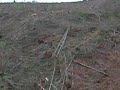 yarder logging in oregon