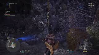 【迷途】PS4：魔物獵人世界 (吉兆蜻蜓捕獲!)