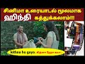 தமிழ் வழி  ஹிந்தி | Spoken Hindi Through Tamil| Daily Life Hindi Sentences in Tamil