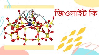 জিওলাইট কি  ?