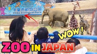 CHIBA ZOOLOGICAL PARK | ZOO IN JAPAN