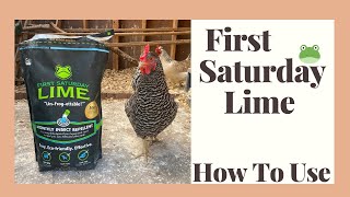 🐸  First Saturday Lime | HOW TO USE