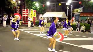 第33回 南越谷阿波踊り 西口南通り演舞場 【扇連（徳島招待連）】