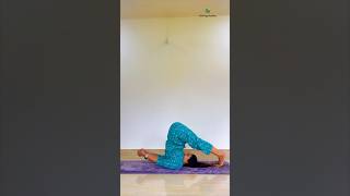 Sarvangasana - Halasana #yogaurmi #yogateacher #urmiyogaacademy #yogapose #yogaasana #fitness #yoga