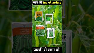 Matar ki top -5 variety | top -5 variety of pea | Pea farming #farming #agriculture #pea_farming