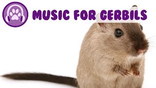 Music for Gerbils! Calm my Gerbil, Pet Therapy Music 2019