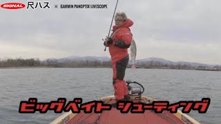 ガーミン ライブスコープを使ってビッグベイトでシューティングしてみた！(Garmin Panoptix Livescope)