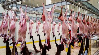 Modern Goat Processing Factory Technology 🐐 - How to Farming Millions of Goat For Meat and Milk