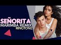Download Shawn Mendes Señorita Marimba Remix Ringtone 2019 Download Now Royal Media mp3
