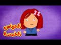 الحواس الخمسة - طيور بيبي Toyor Baby