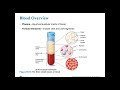 Ch 19 Blood Part 1 Lecture Video