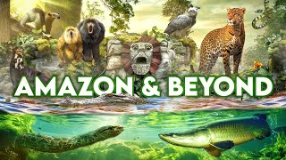 Zoo Tours: Zoo Miami's Amazon \u0026 Beyond | FULL TOUR