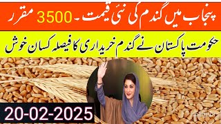 آئ ایم ایف گندم کی امدادی قیمت کا فائنل اعلان 2025/wheat support price 2025/local farmers