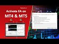 How to Activate Expert Advisors on MT5 & MT4 Platform?