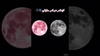 فيديو تسليكي 🎀🥹🌑