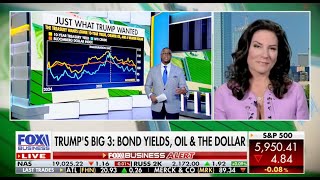 Bond Yields, Oil, Dollar and Trump — Danielle DiMartino Booth \u0026 Charles Payne of Making Money, FBN