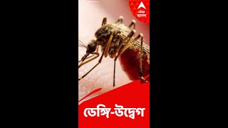 পুজোর মুখে চোখ রাঙাচ্ছে ডেঙ্গি