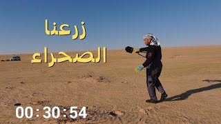 زرعت 100 شجرة في صحراء السماوة بمساعدة @IraqFalconry