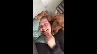Dog Laying on Owners Head and Won’t Get Off