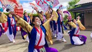 おみが和よさこい会”和気藹藹“/真和を紡げ☆香取市民デー/水郷佐原あやめパーク