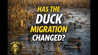 Has The Duck Migration Changed? | Flooded Corn, Short-Stopping & Modern Flyways