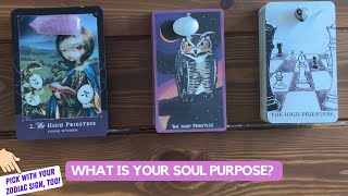 What Is Your Soul Purpose? | Timeless Reading