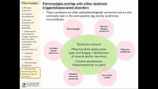 2016 Functional Medicine CME: Fibromyalgia, Microbiome, Dysbiosis, Mitochondria, Pain Management