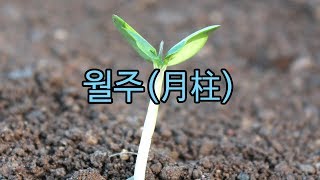 월주(月柱)에 대한 설명