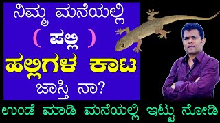 Halli Odisalu Mane Maddu | Halli Odisuva Tip Kannada | How to avoid lizards in house in Kannada