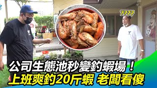 公司生態池秒變釣蝦場！上班爽釣20斤泰國蝦 老闆看傻：太專業｜@setn