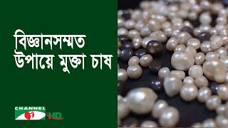 দেশেও সম্প্রসারণ হচ্ছে মুক্তা চাষ