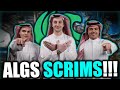 DOMINATING INTERNATIONAL ALGS SCRIMS!!! | Falcon ImperialHal