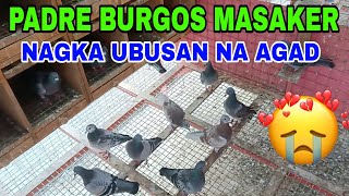 FIRST LAP PALANG UBOS NA MGA IBON / PADRE BURGOS QUEZON MASAKER #benchsison #longhairtv