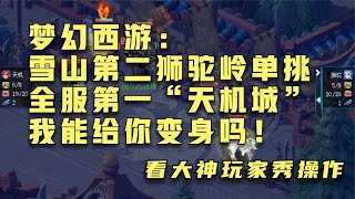 梦幻西游：雪山第二狮驼岭单挑全服第一“天机城”我能给你变身吗