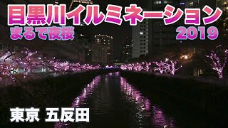 【冬の夜桜堪能】目黒川みんなのイルミネーション2019