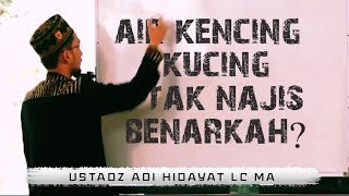 Benarkah Air Kencing Kucing Tidak Najis? || Ustadz Adi Hidayat Lc MA