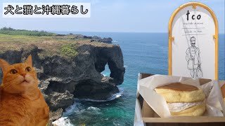 【沖縄観光/グルメ】ふわふわパンケーキ｜万座毛の絶景を堪能する｜trip cafe okinawa｜toc｜アラフォー女 犬と猫と沖縄暮らし