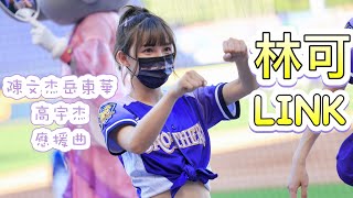 台湾プロ野球【中信兄弟】LINK林可(Passion Sister) 霹靂兄弟之魔吞傳奇|陳文杰岳東華高宇杰應援曲2022/05/28