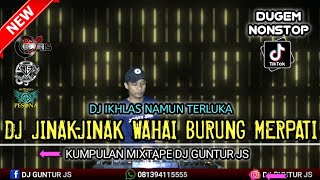 DJ FYP TIKTOK ❗ JINAK-JINAK WAHAI BURUNG MERPATI X IKHLAS NAMUN TERLUKA TERBARU 2023 - DJ GUNTUR JS