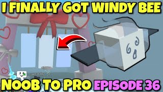 I GOT WINDY BEE - Bee Swarm Simulator NOOB to PRO Episode 36