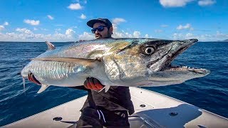 Monster Spanish Mackerel.