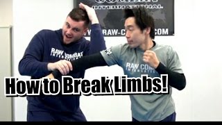 Fight Skills of Raw Silat! Savage Entries  \u0026  Functional Limb Destruction