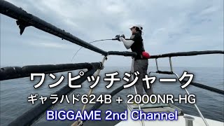 【青物ジギング】東京湾調査隊R小隊長のキレキレジャーク！